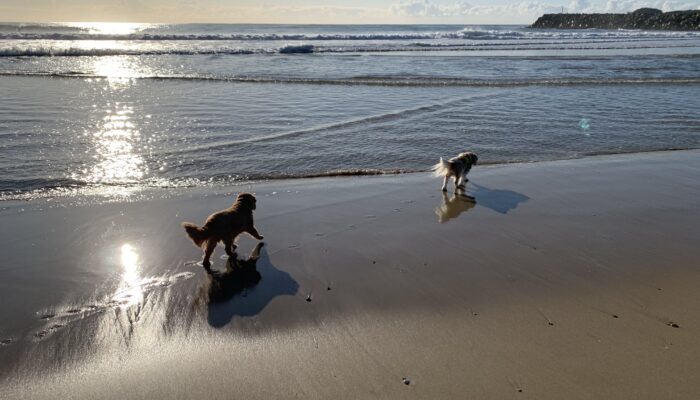 Black01 Washhouse Beach