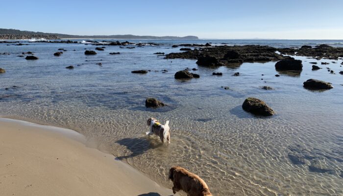 Black01 Washhouse Beach